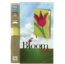 NIV Bible - Bloom Collection