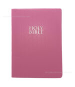 NIV Gift and Award Bible for Kids - Image 2