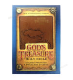 NIV Holy Bible - God's Treasure - Golden Promises and Priceless Stories