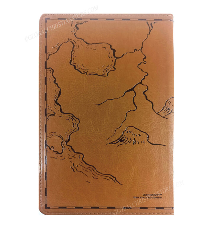 NIV Holy Bible - God's Treasure - Golden Promises and Priceless Stories - Image 8