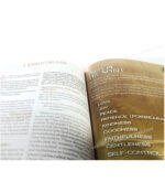 NIV Holy Bible - God's Treasure - Golden Promises and Priceless Stories - Image 5