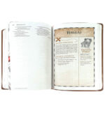 NIV Holy Bible - God's Treasure - Golden Promises and Priceless Stories - Image 6