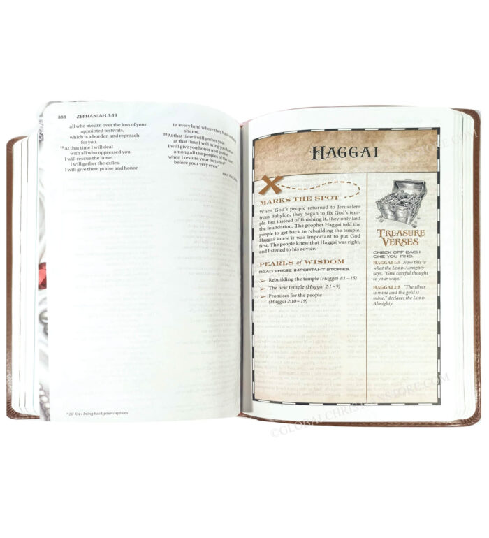 NIV Holy Bible - God's Treasure - Golden Promises and Priceless Stories - Image 6