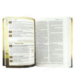 NIV Holy Bible - God's Treasure - Golden Promises and Priceless Stories - Image 7