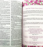 NKJV Cloth case Holy Bible - Image 2