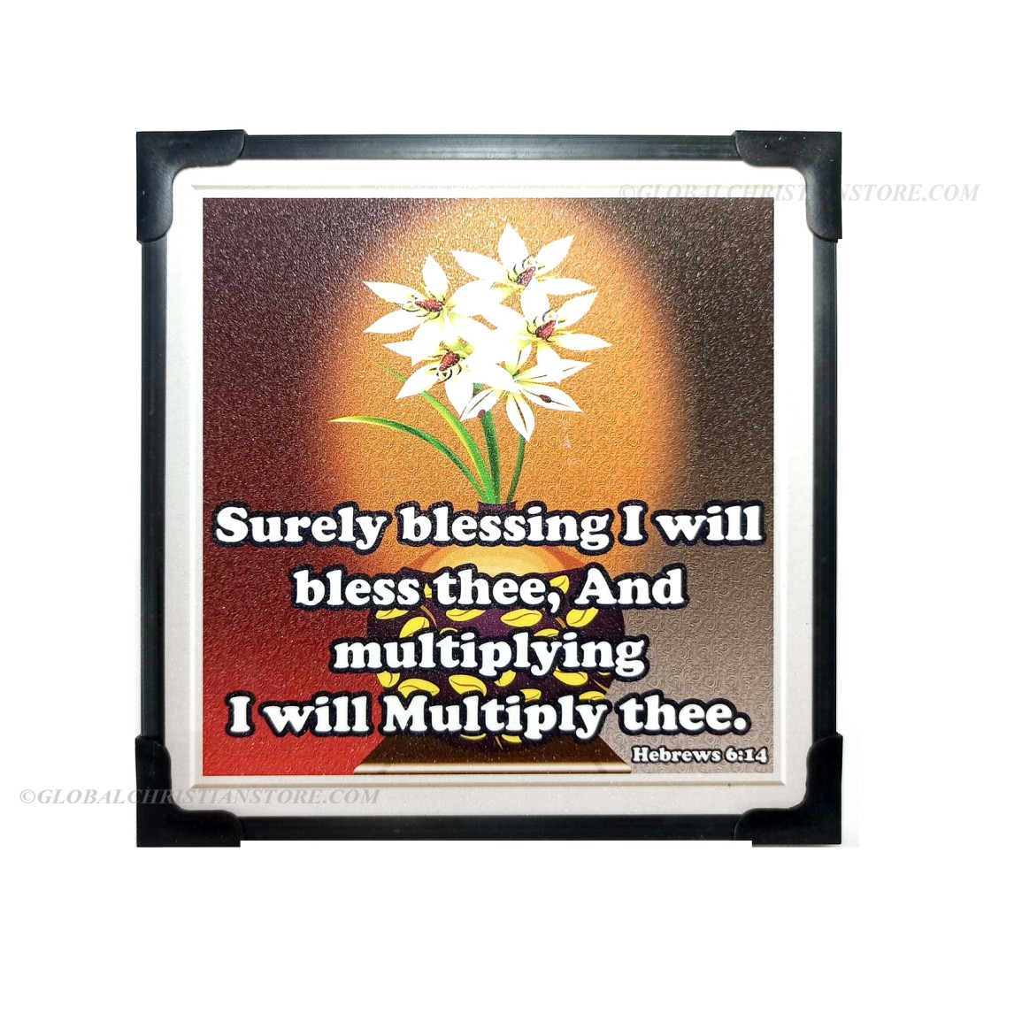 Surely blessing I will bless thee Christian Bible verse frame board
