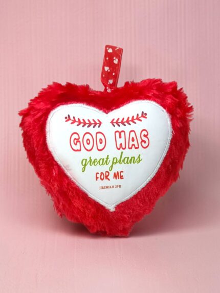God Has Great Plans For Me Small Cushion Gift With Bible Verse