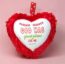 God Has Great Plans For Me Small Cushion Gift With Bible Verse